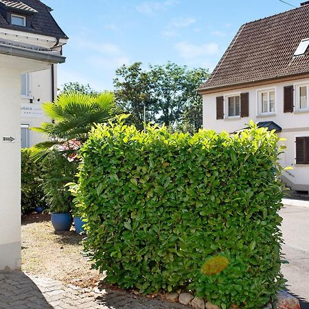 Bluehome Ferienwohnung Bad Bellingen Extérieur photo