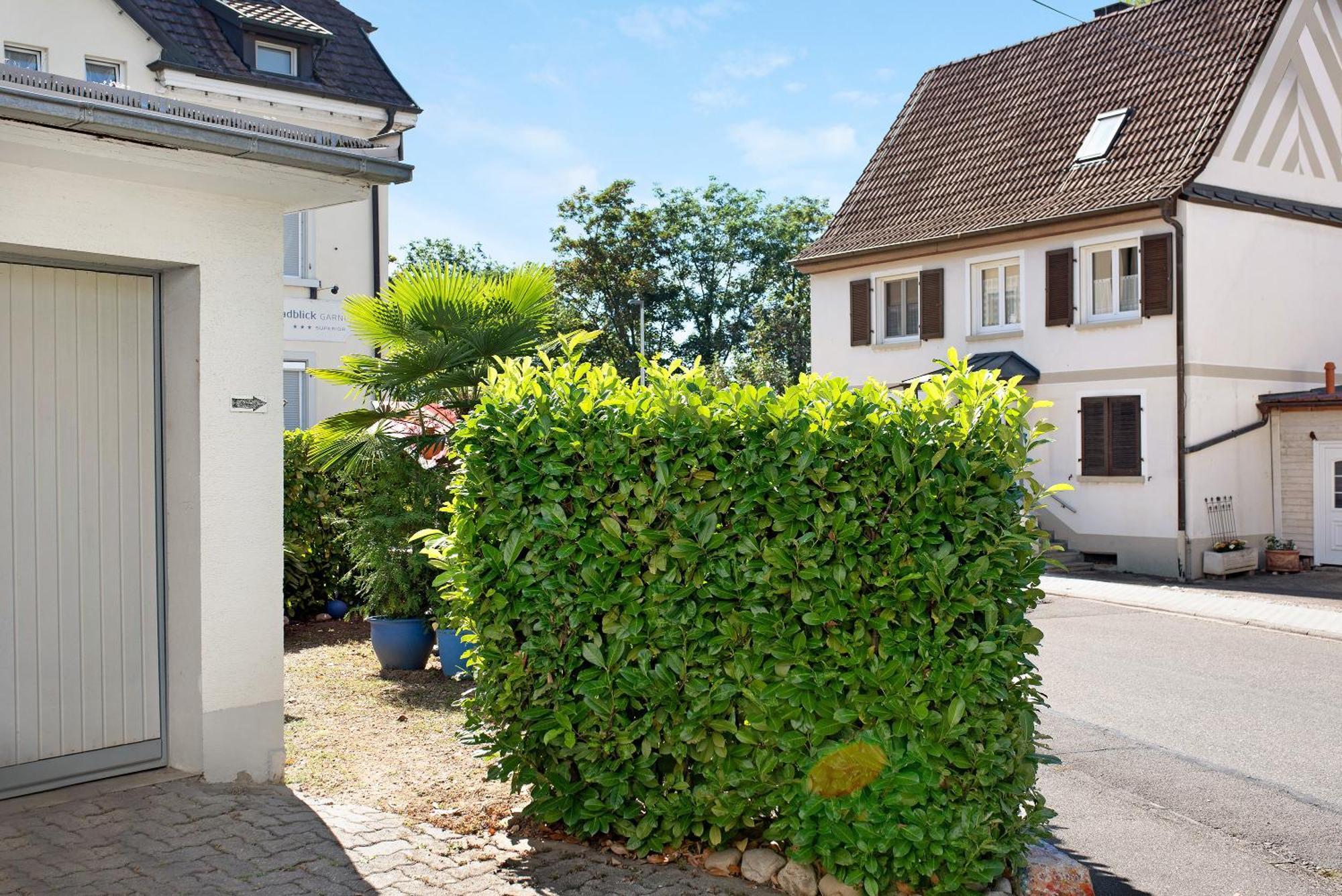 Bluehome Ferienwohnung Bad Bellingen Extérieur photo